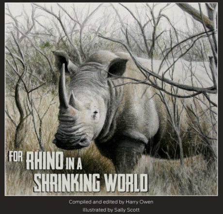 For Rhino front
